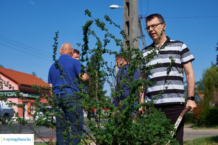 Cserje ültetés a Kállói úton