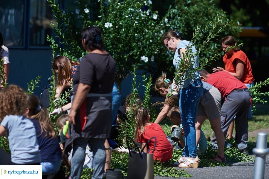Cserjeültetés a Szarvas utcán