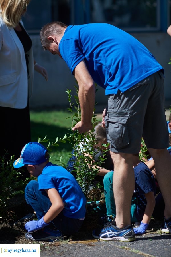 Cserjeültetés a Szarvas utcán