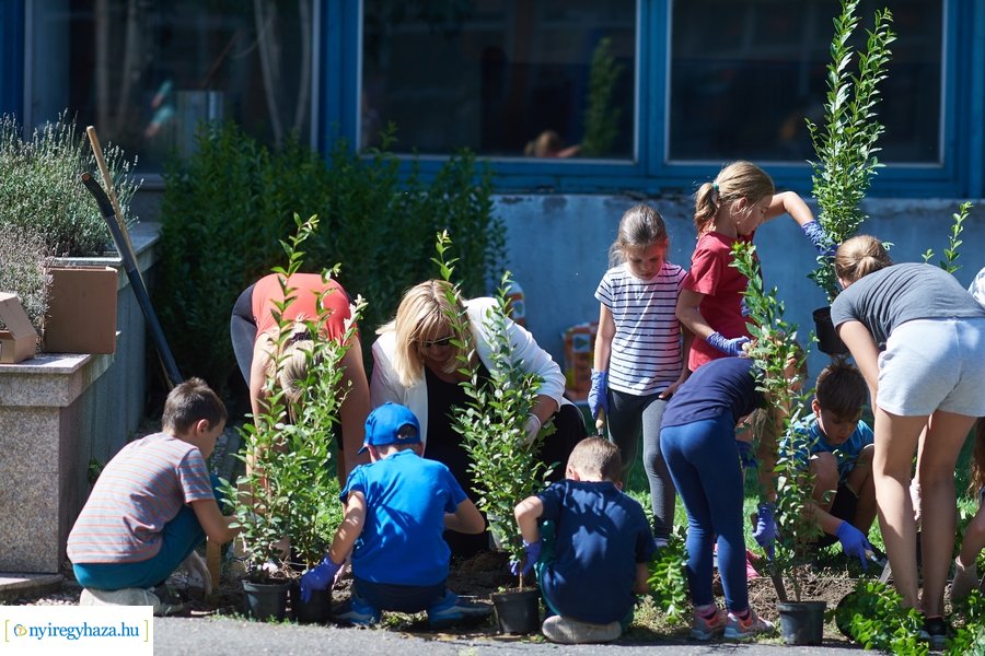 Cserjeültetés a Szarvas utcán
