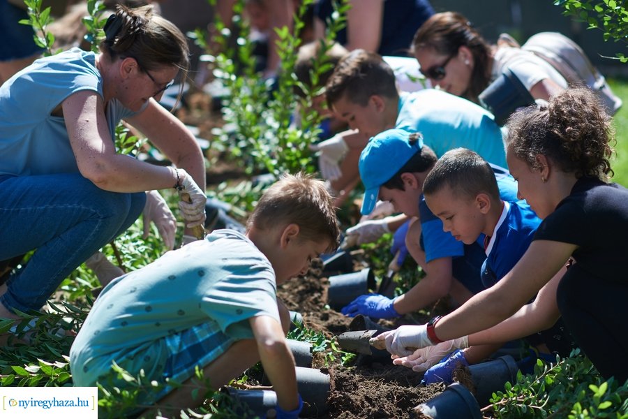 Cserjeültetés a Szarvas utcán