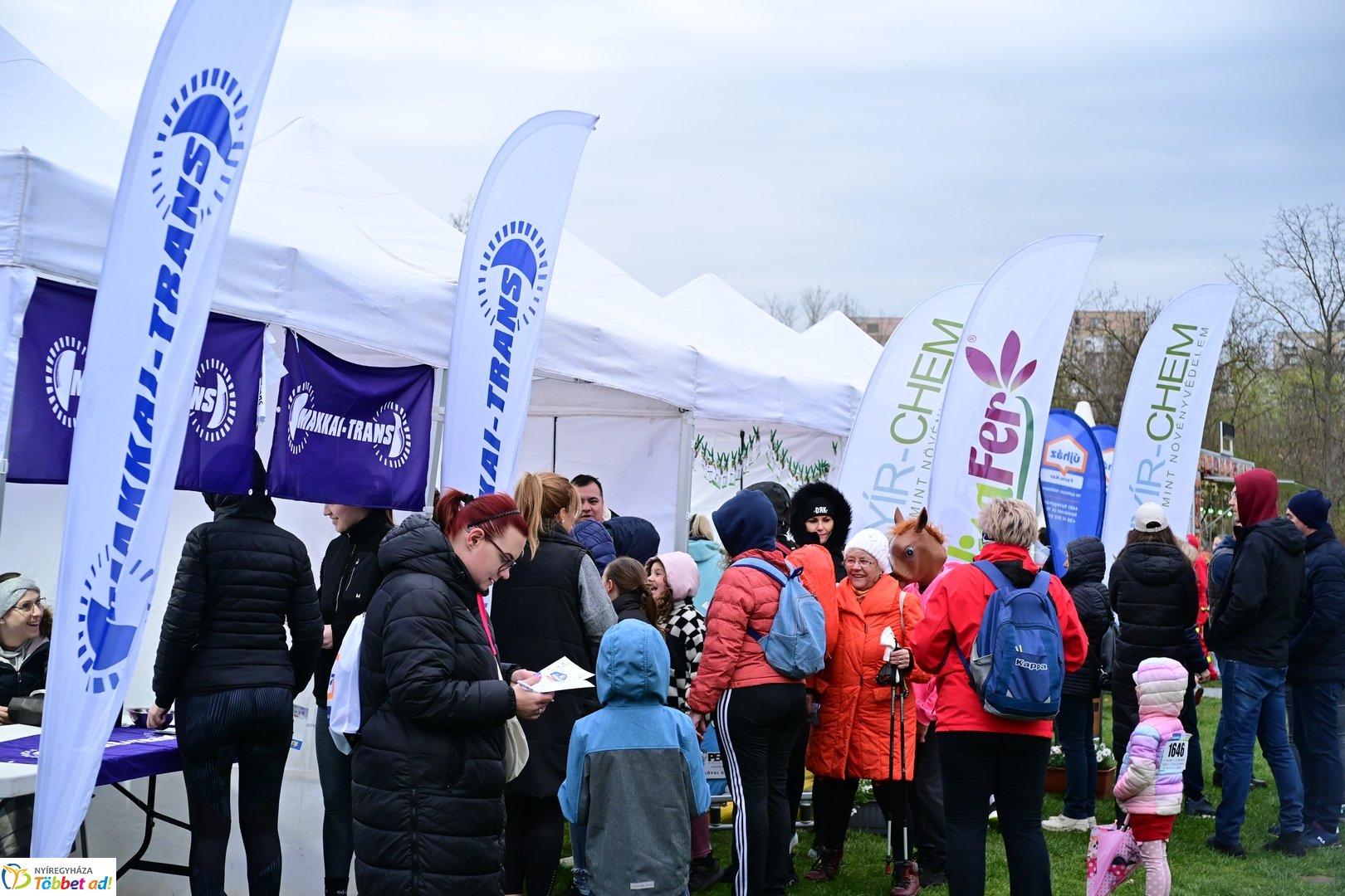 Csillagfutás a Bujtosi Városligetben - 2025