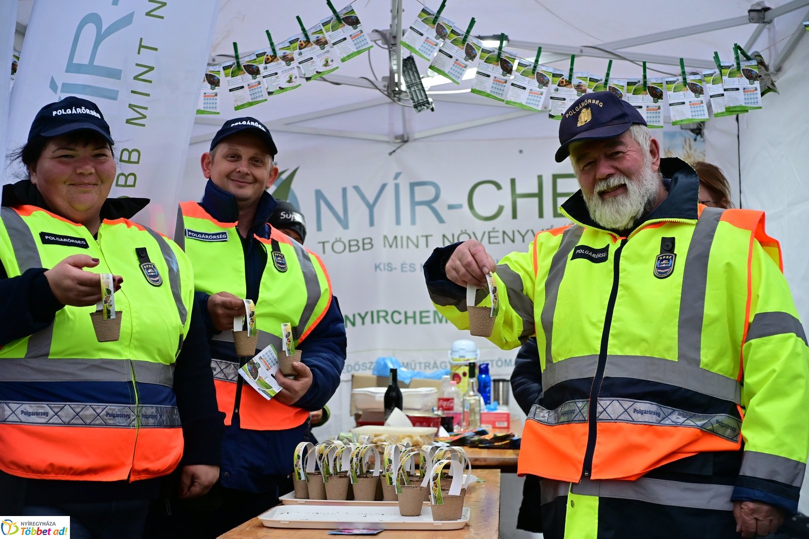 Csillagfutás a Bujtosi Városligetben - 2025