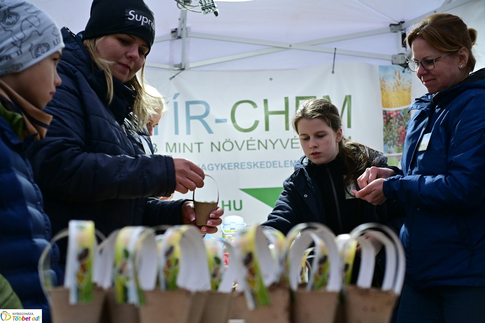 Csillagfutás a Bujtosi Városligetben - 2025