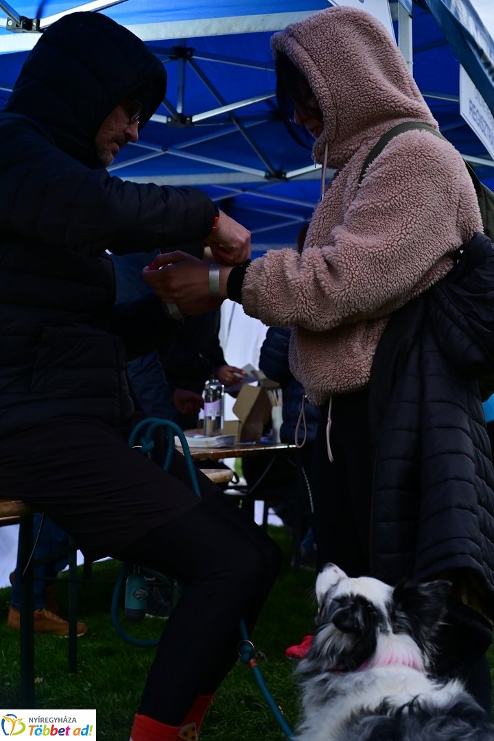 Csillagfutás a Bujtosi Városligetben - 2025