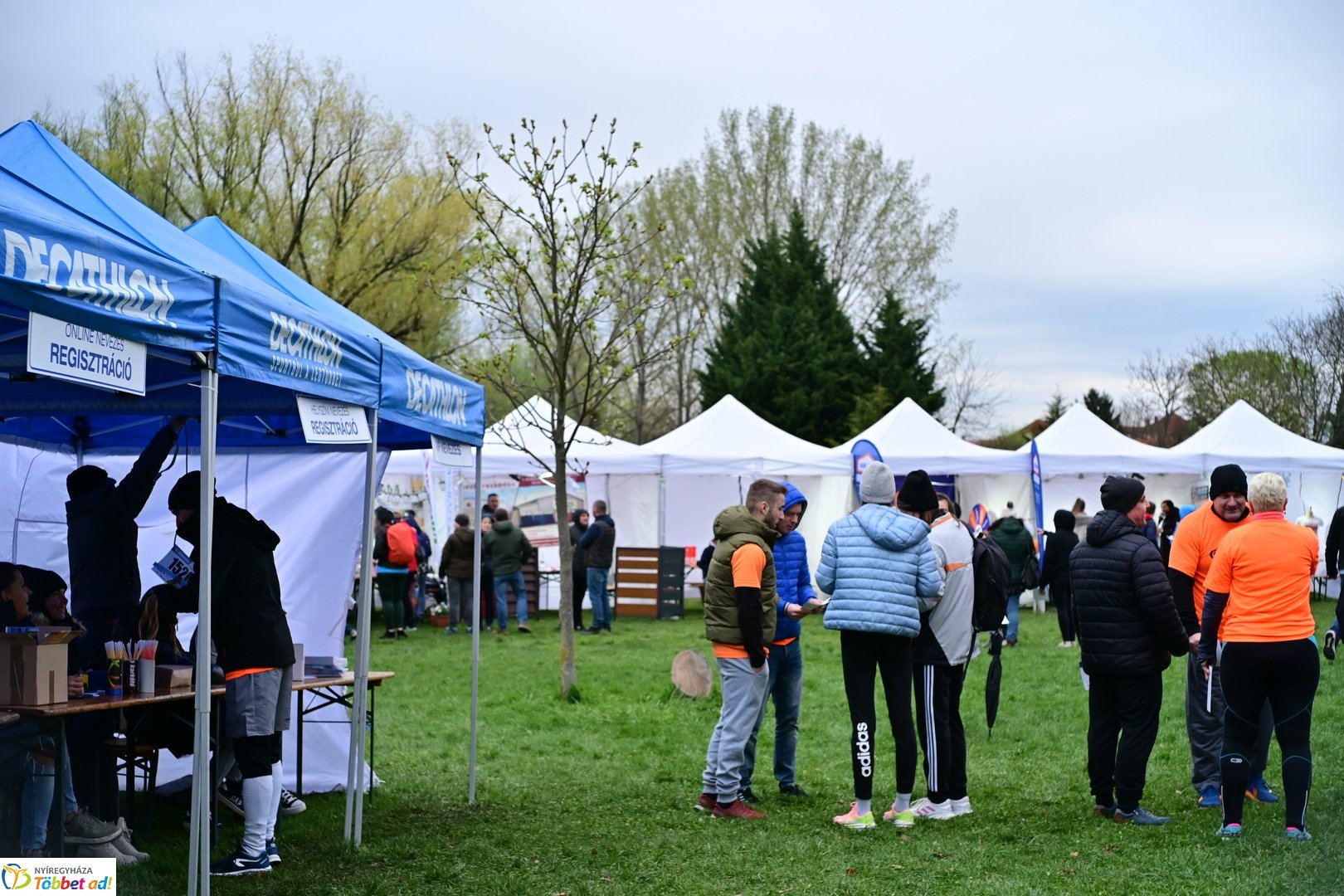 Csillagfutás a Bujtosi Városligetben - 2025