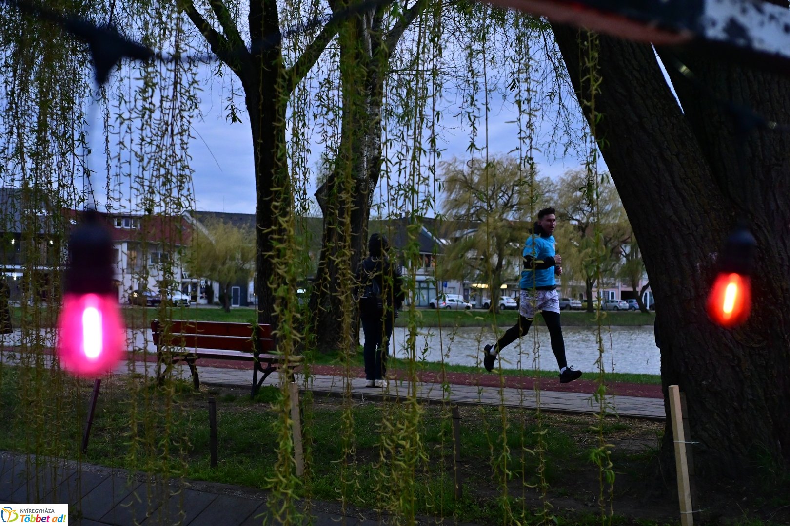 Csillagfutás a Bujtosi Városligetben - 2025