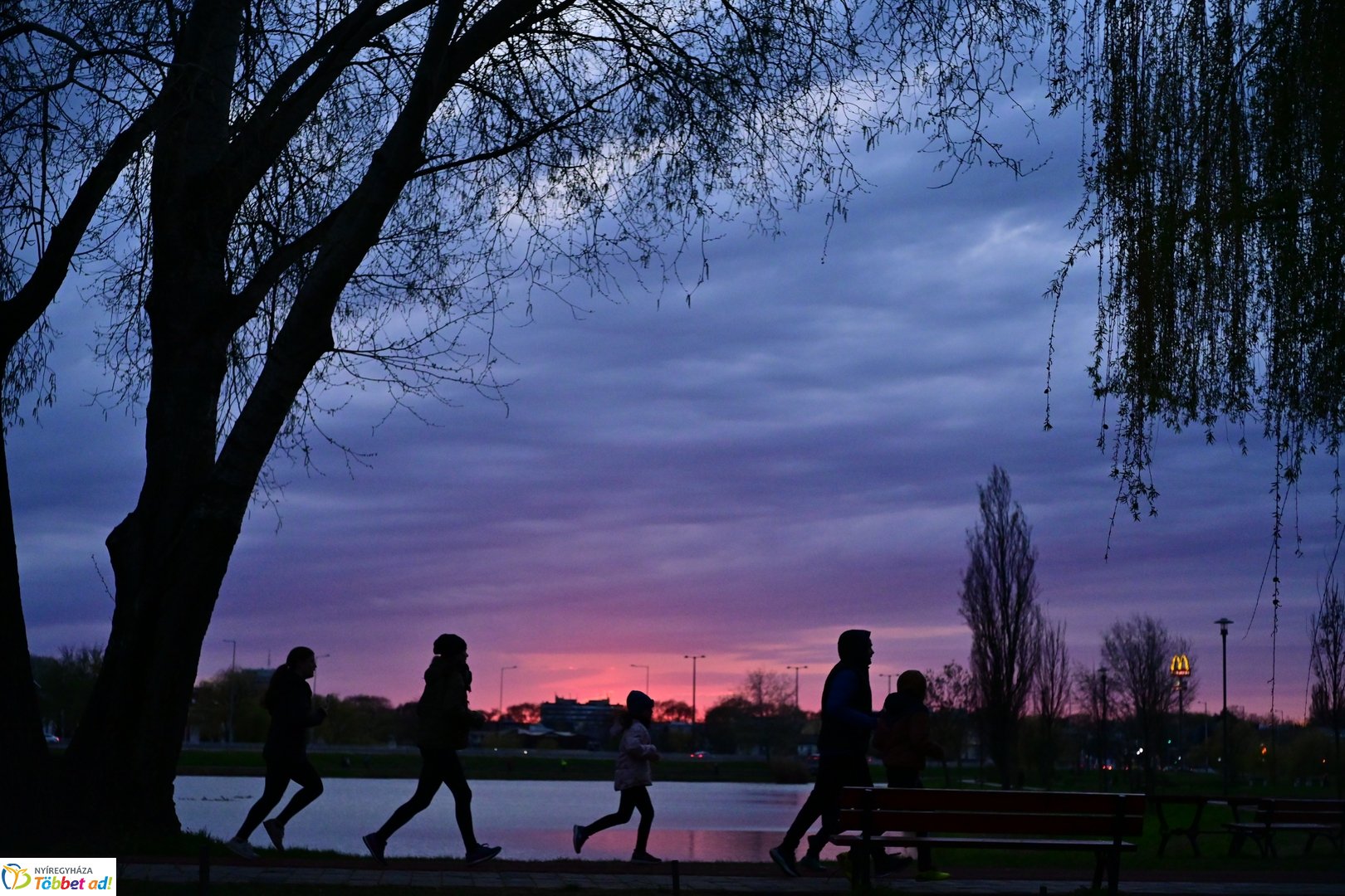 Csillagfutás a Bujtosi Városligetben - 2025