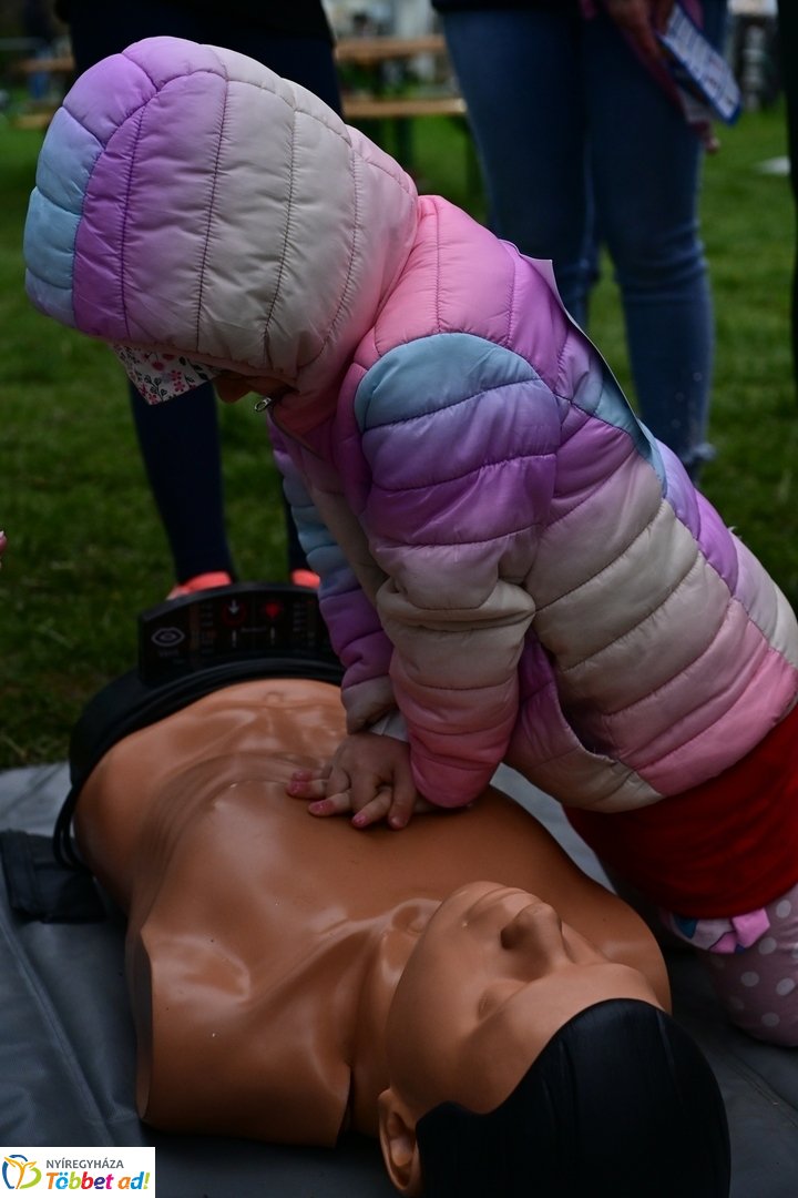 Csillagfutás a Bujtosi Városligetben - 2025