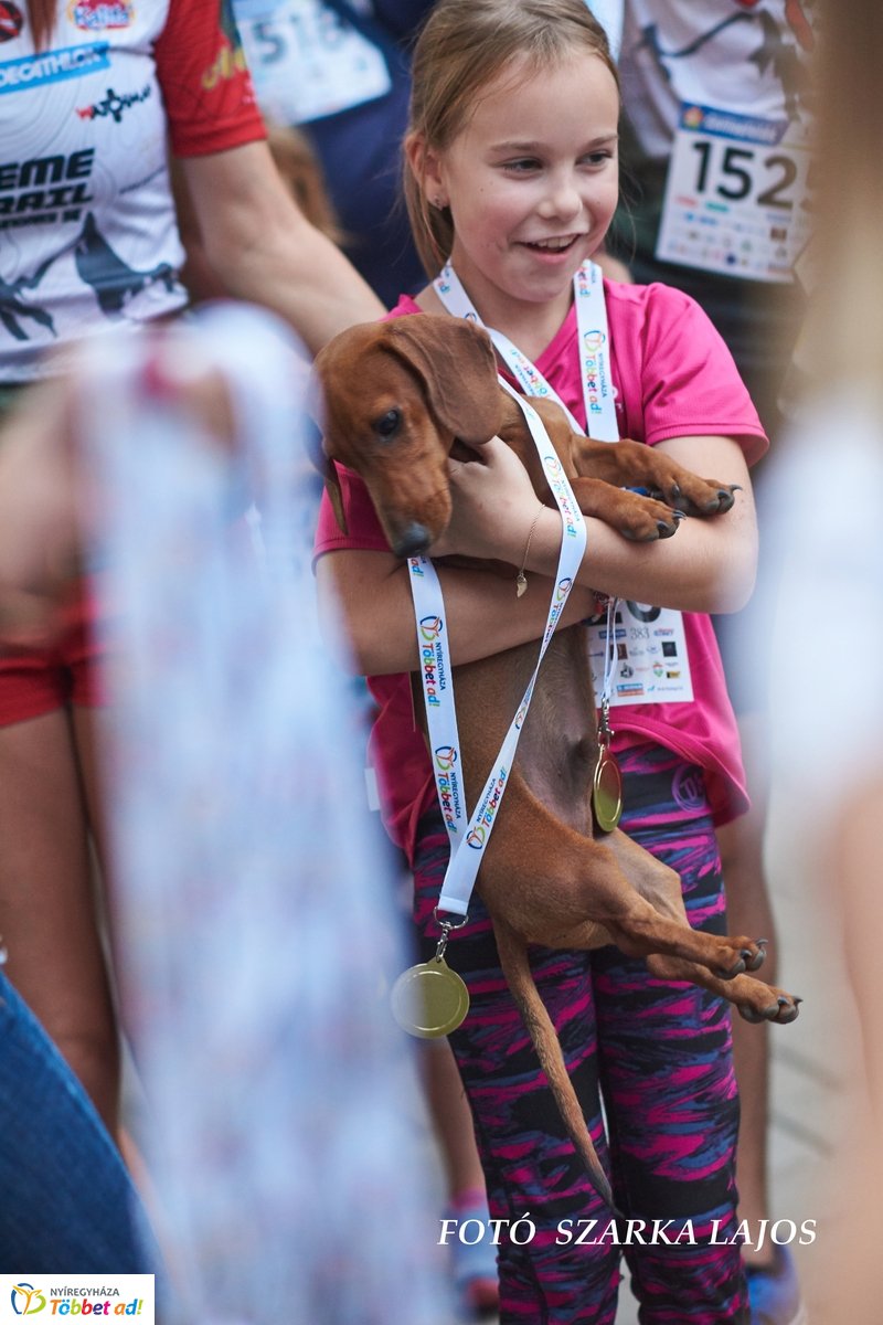 Csillagfutás a Ligetben