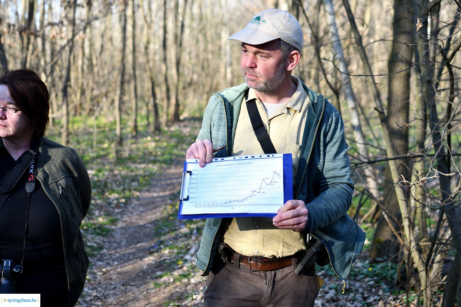 Csillagvirág-számlálás a Sóstói-erdőben