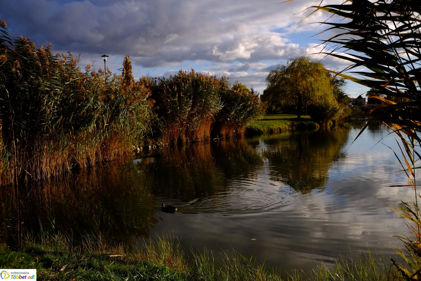 Csodálatos őszi fények a Bujtoson 2025 októberében