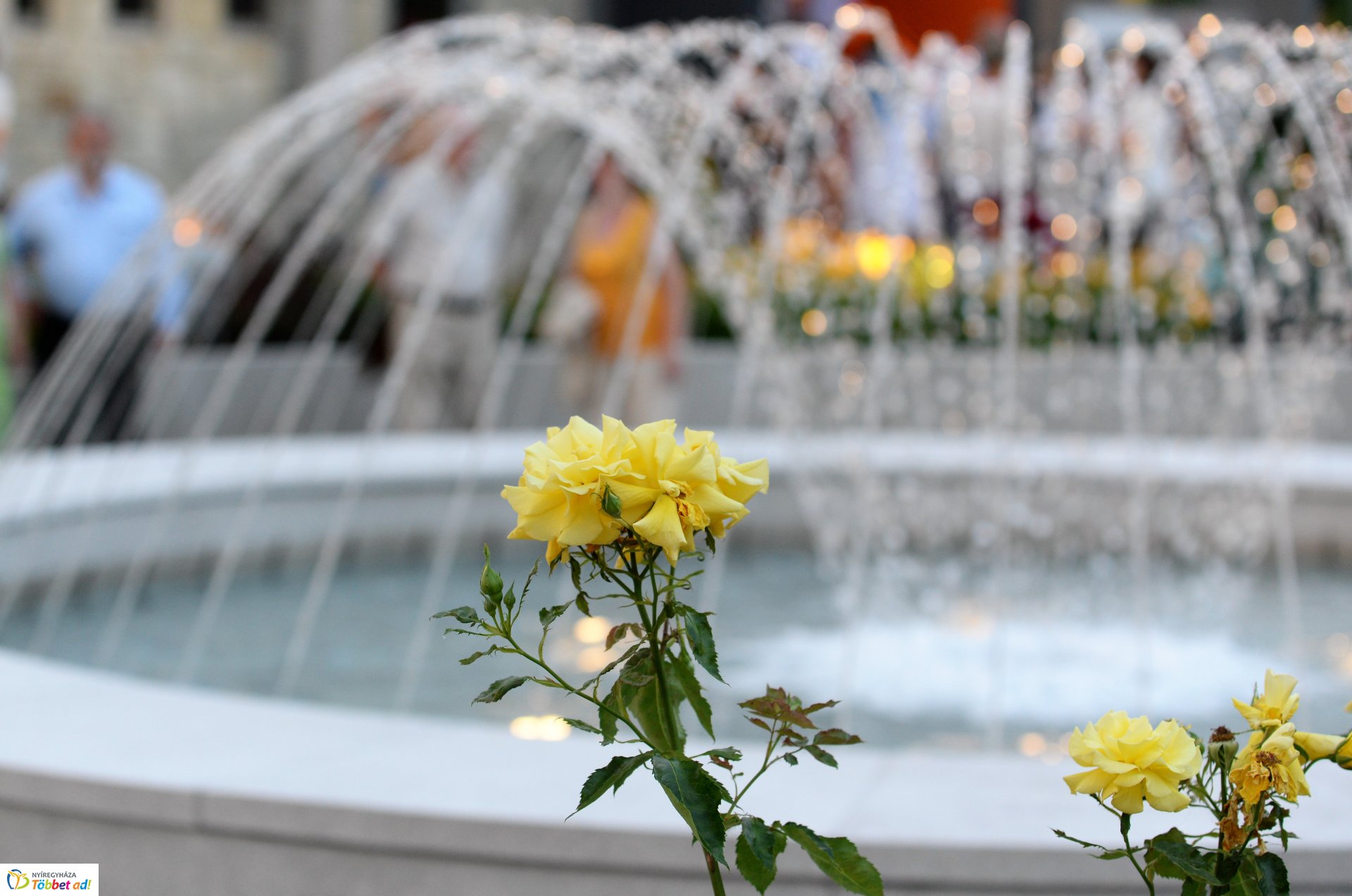 Delila premier a Rózsakert Szabatéri Színpadon