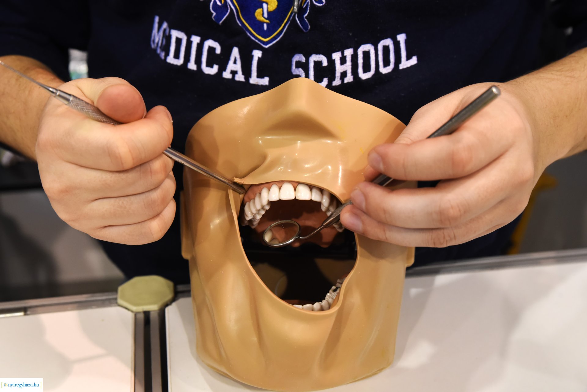 DEXPO - a Debreceni Egyetem nyílt napot tartott Nyíregyházán