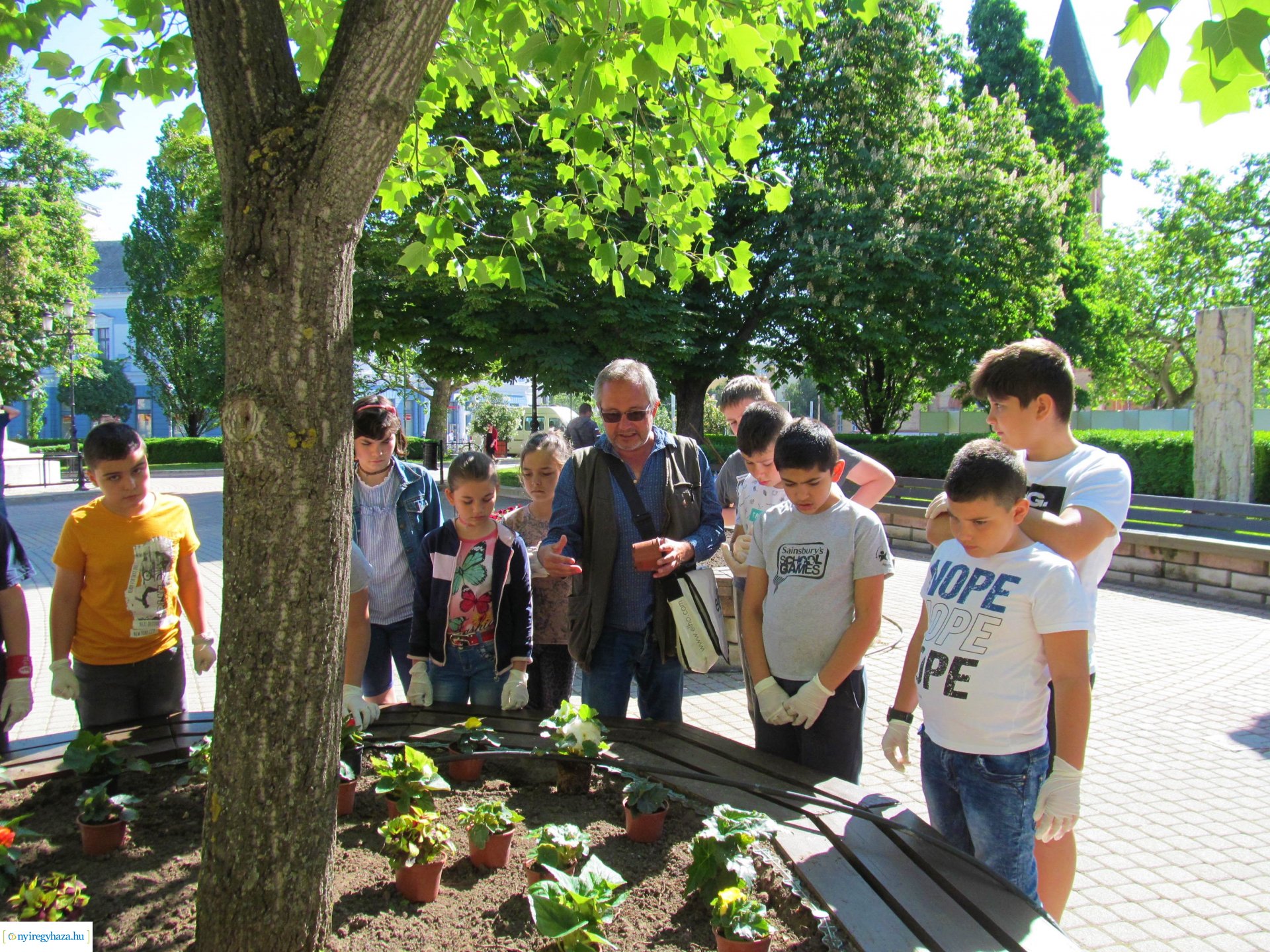 Diákokkal közös virágültetés a belvárosban 