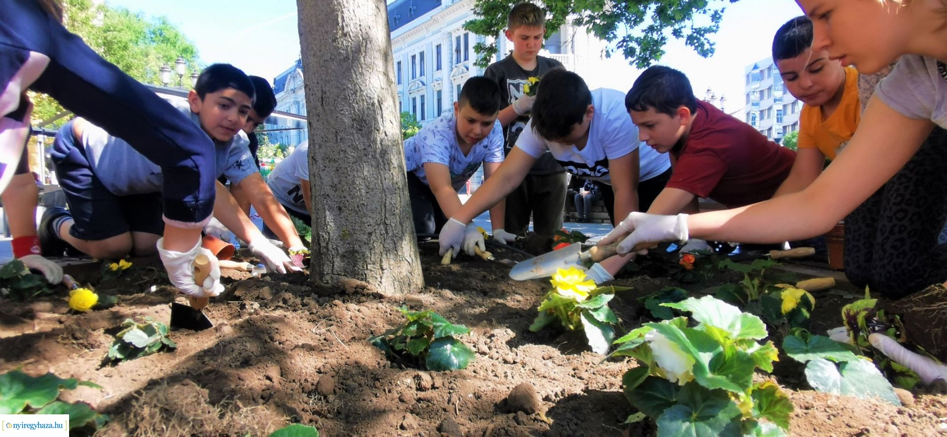 Diákokkal közös virágültetés a belvárosban 