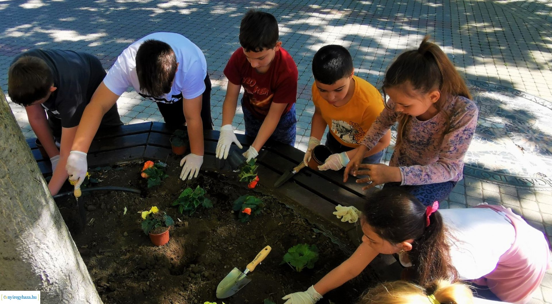 Diákokkal közös virágültetés a belvárosban 