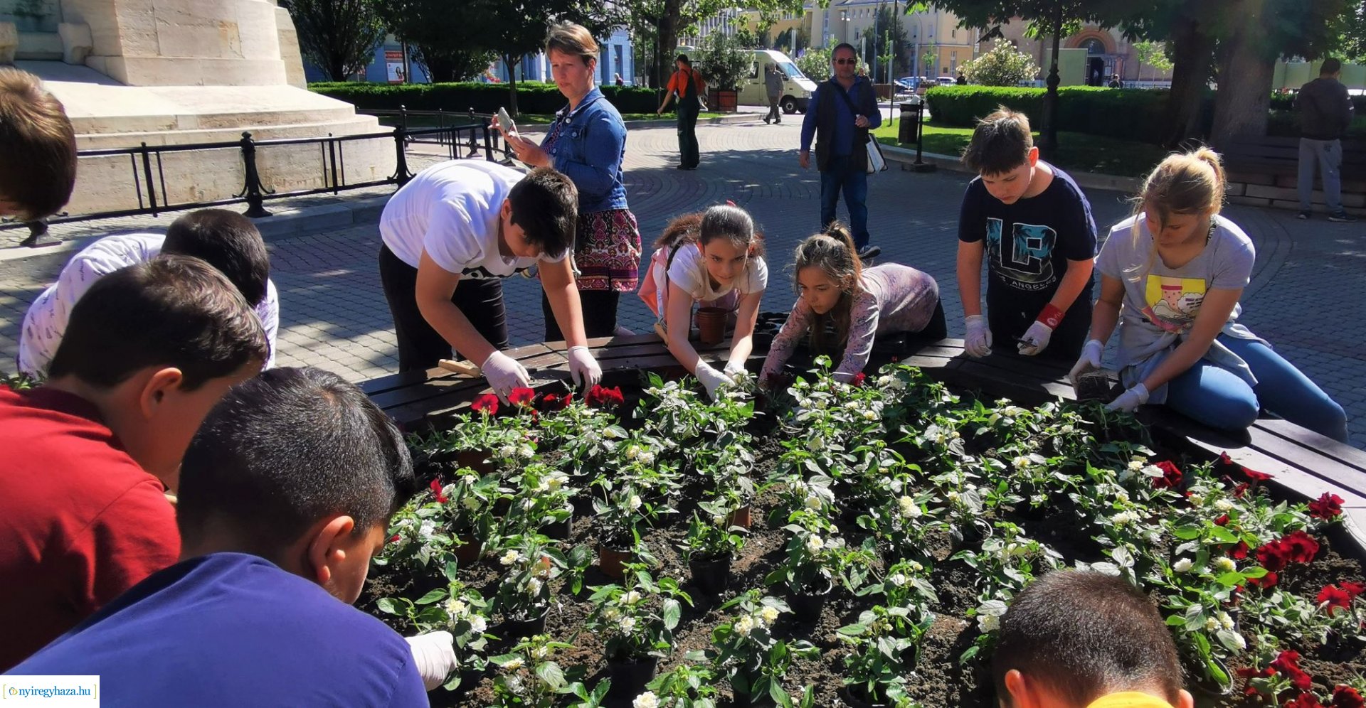 Diákokkal közös virágültetés a belvárosban 