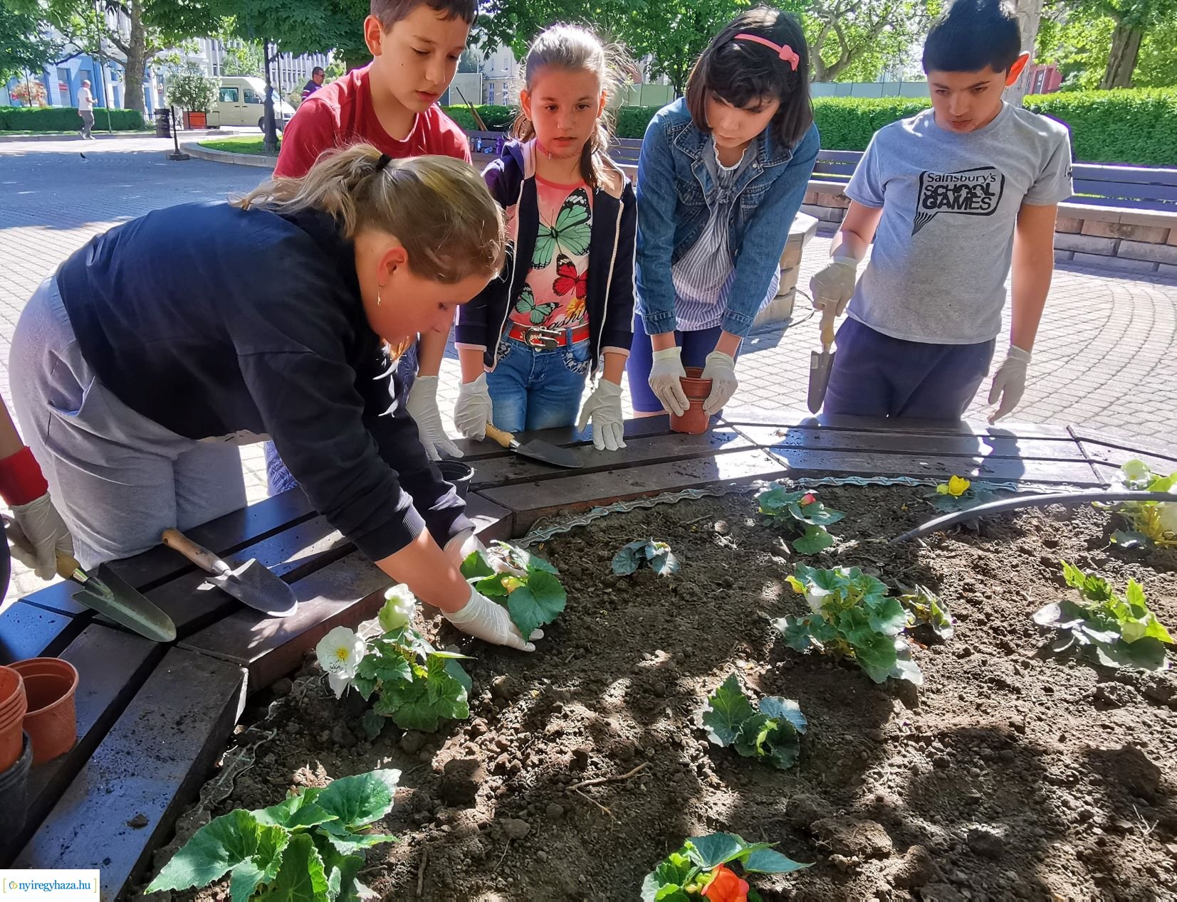 Diákokkal közös virágültetés a belvárosban 
