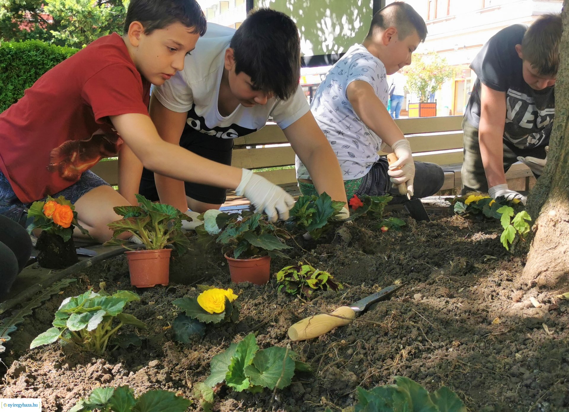Diákokkal közös virágültetés a belvárosban 
