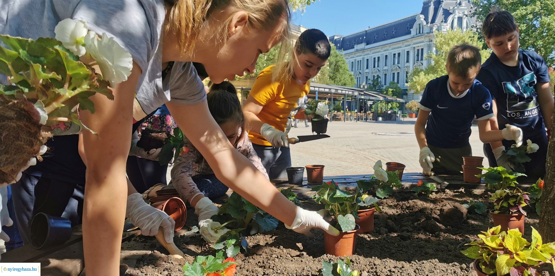 Diákokkal közös virágültetés a belvárosban 