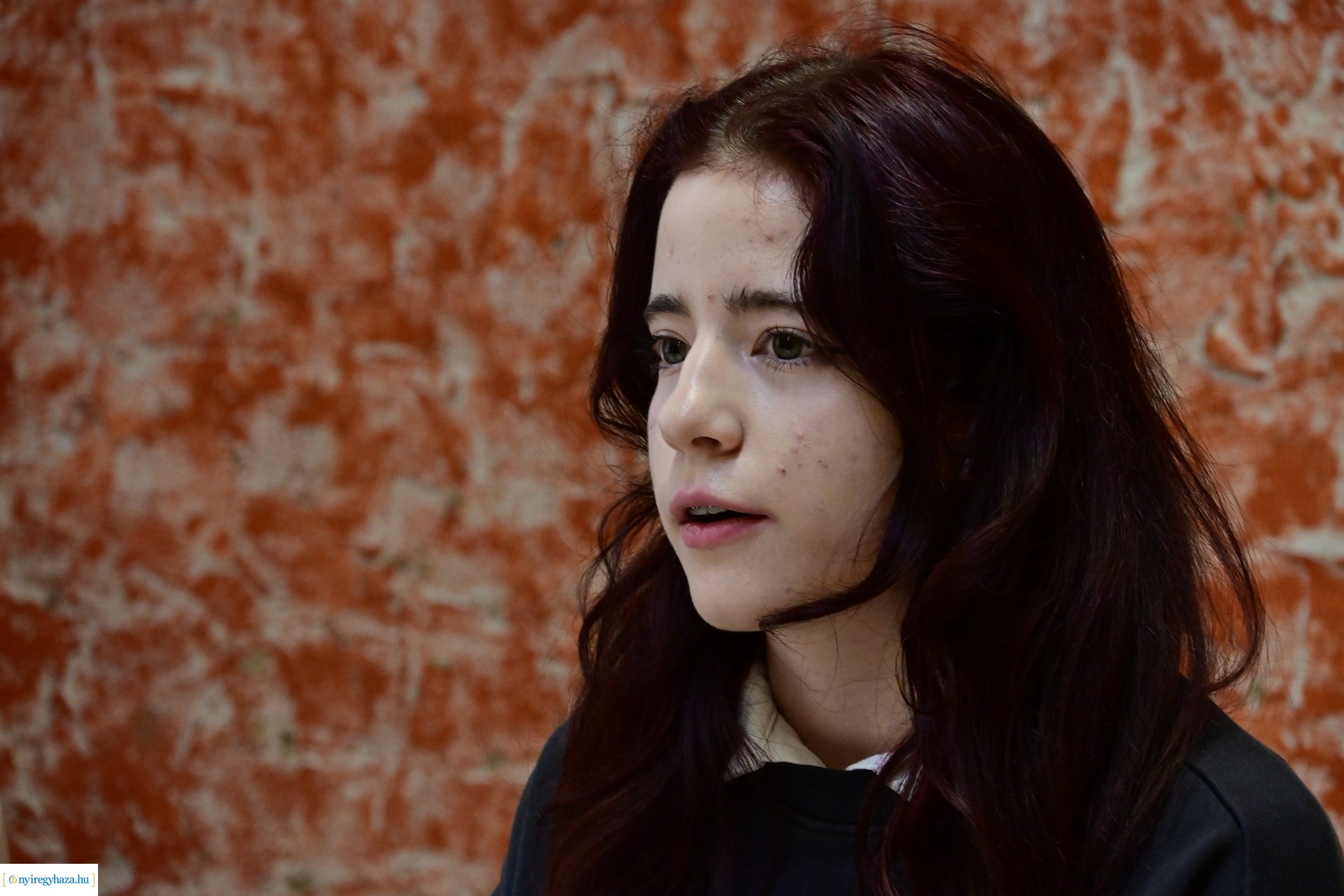 Diákpolgármesteri programok tájékoztatója