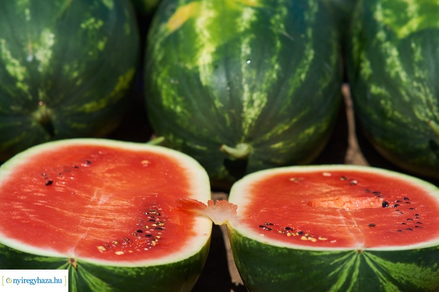 Dinnyetermesztés Nagycserkeszen