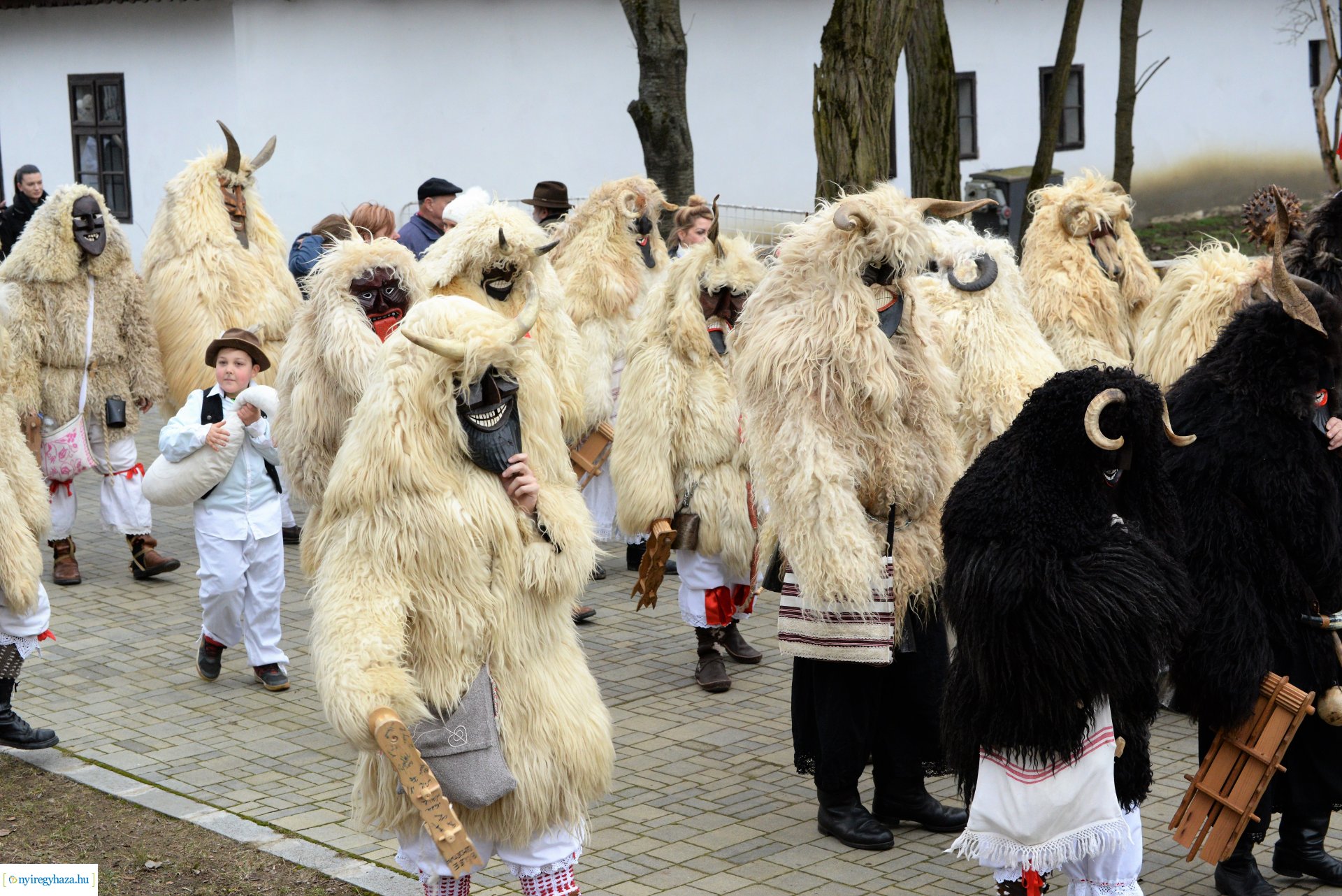 Disznótoros fesztivál 1