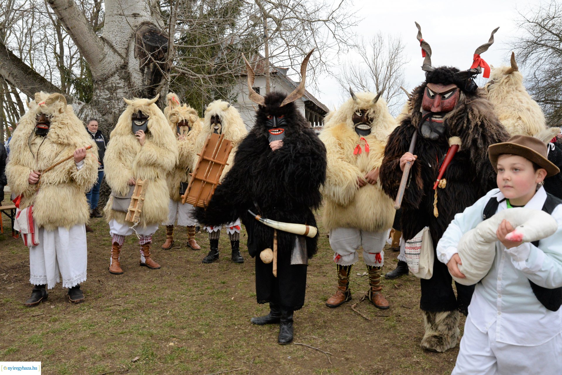 DIsznótoros Fesztivál 2.