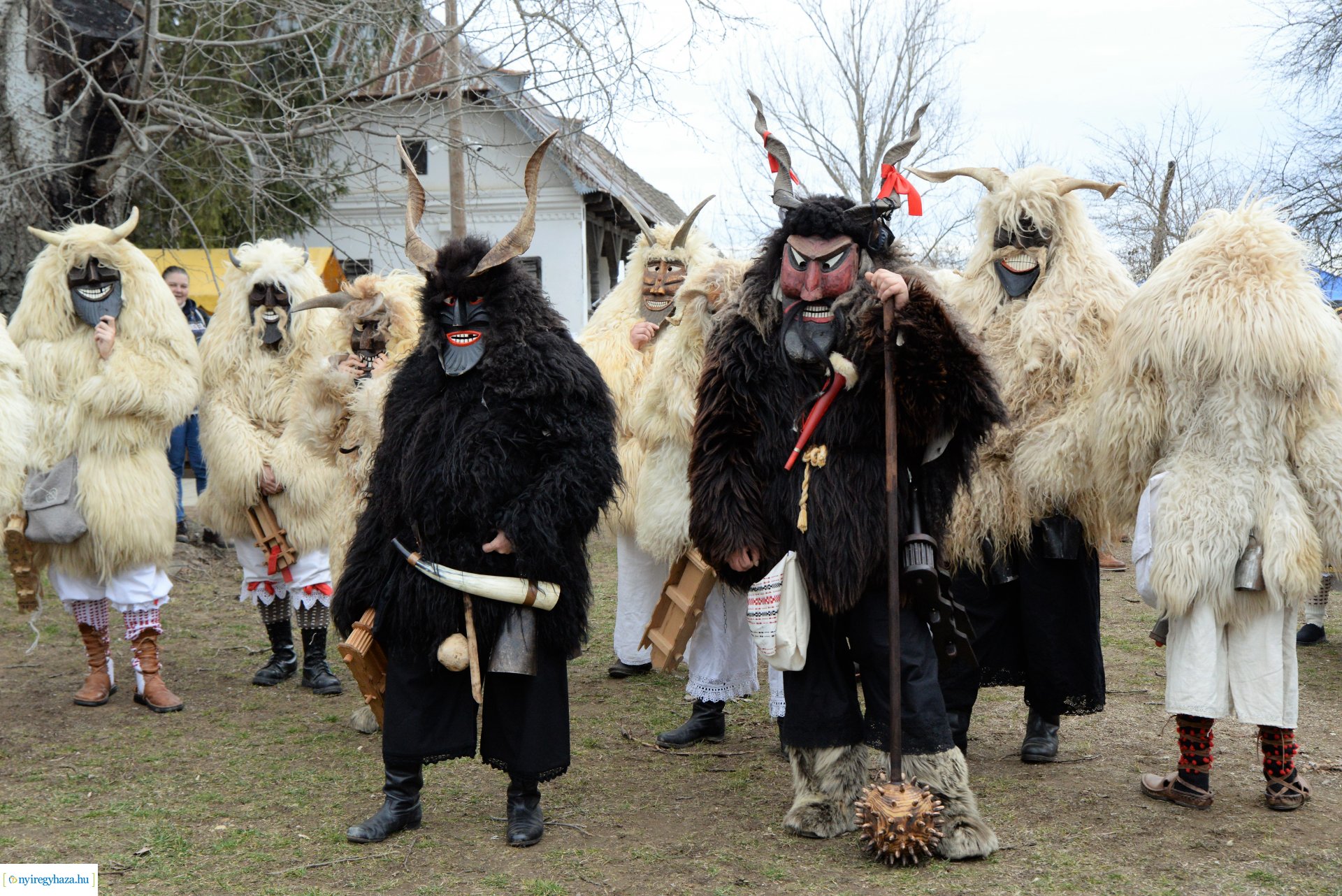 DIsznótoros Fesztivál 2.