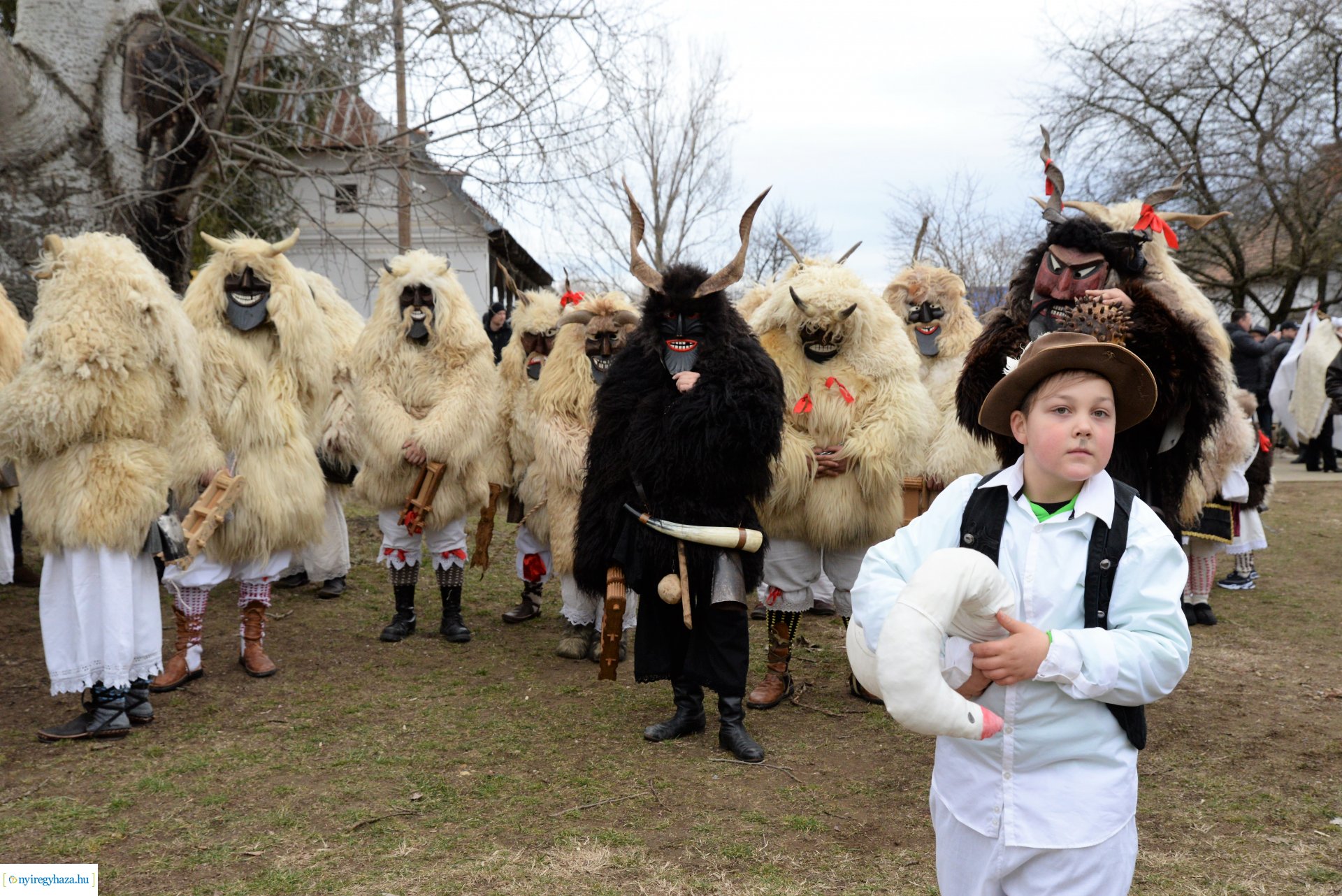 DIsznótoros Fesztivál 2.