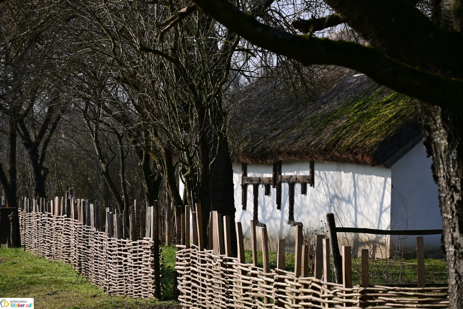 Disznótoros Fesztivál 2025 beharangozója