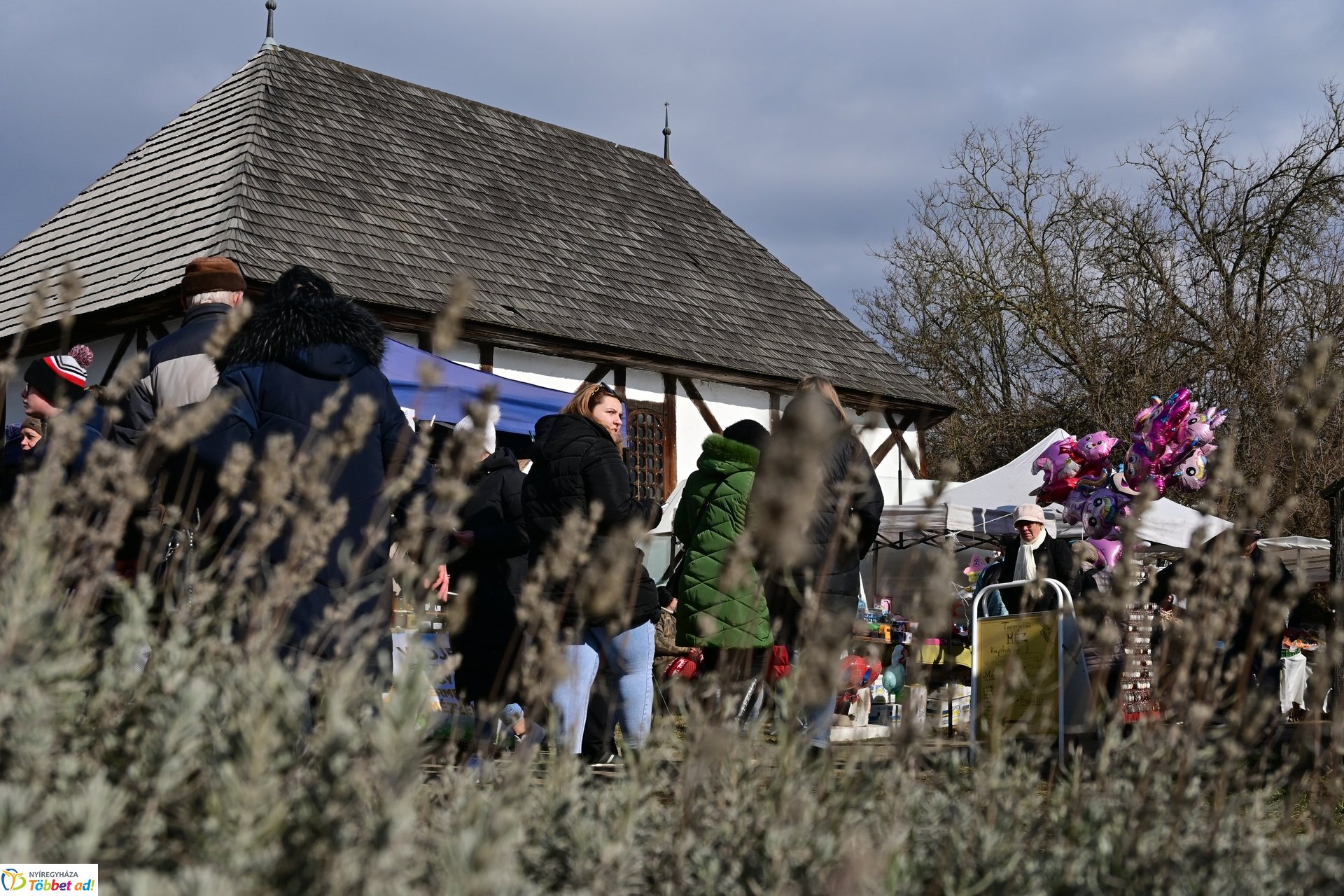 Disznótoros Fesztivál 2025 délutáni pillanatképei