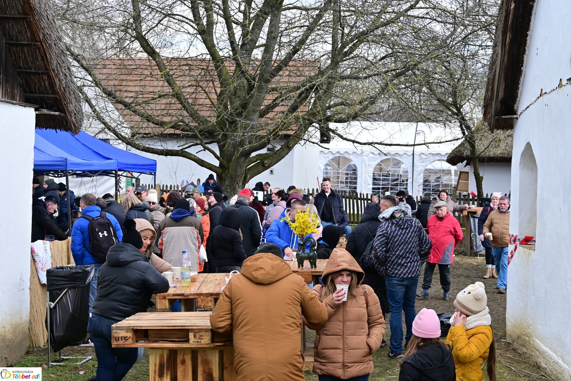 Disznótoros Fesztivál 2025 délutáni pillanatképei