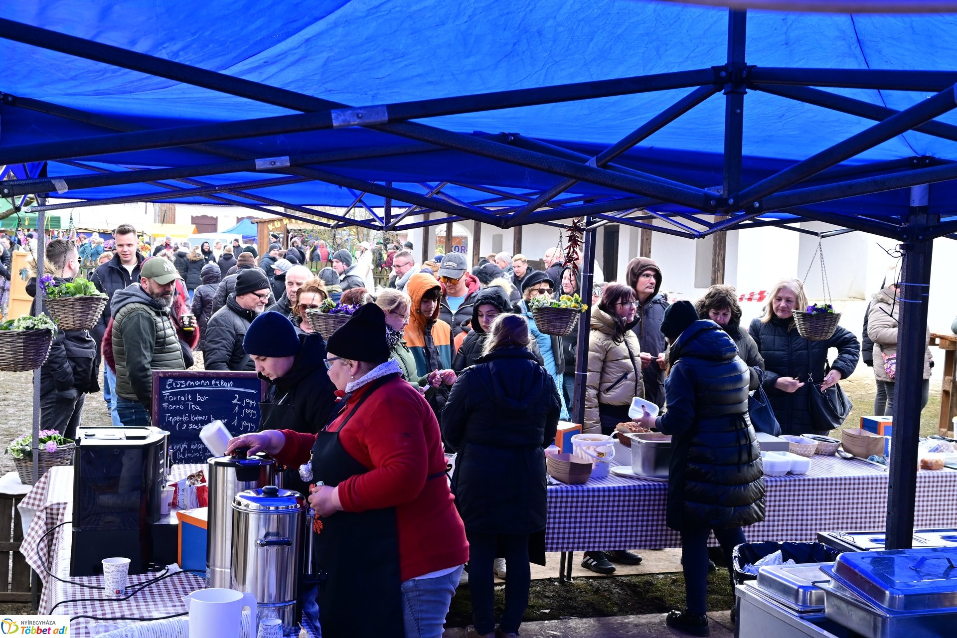 Disznótoros Fesztivál 2025 délutáni pillanatképei