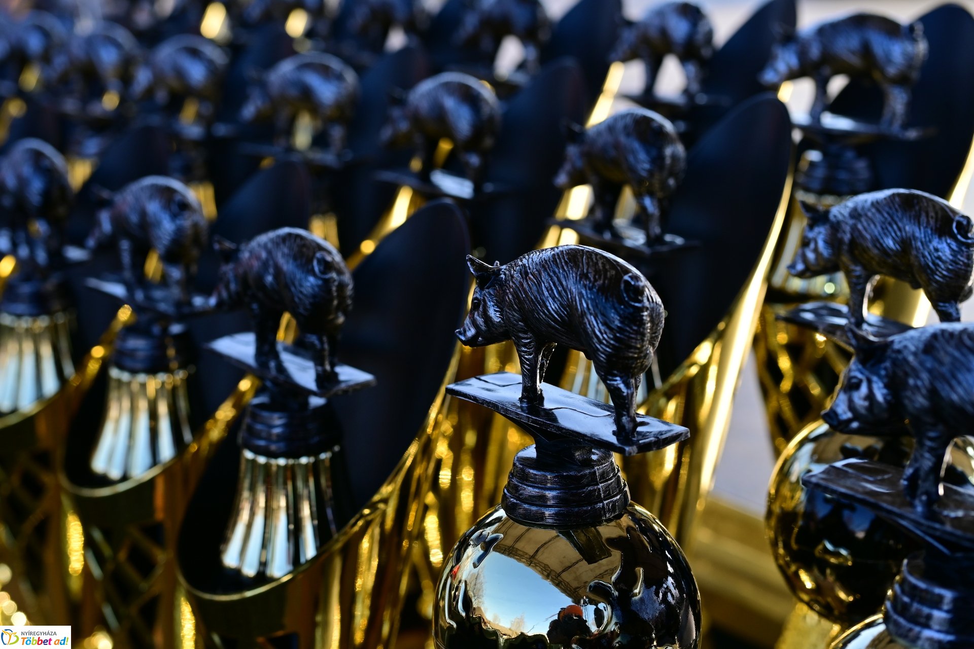 Disznótoros Fesztivál 2025 délutáni pillanatképei