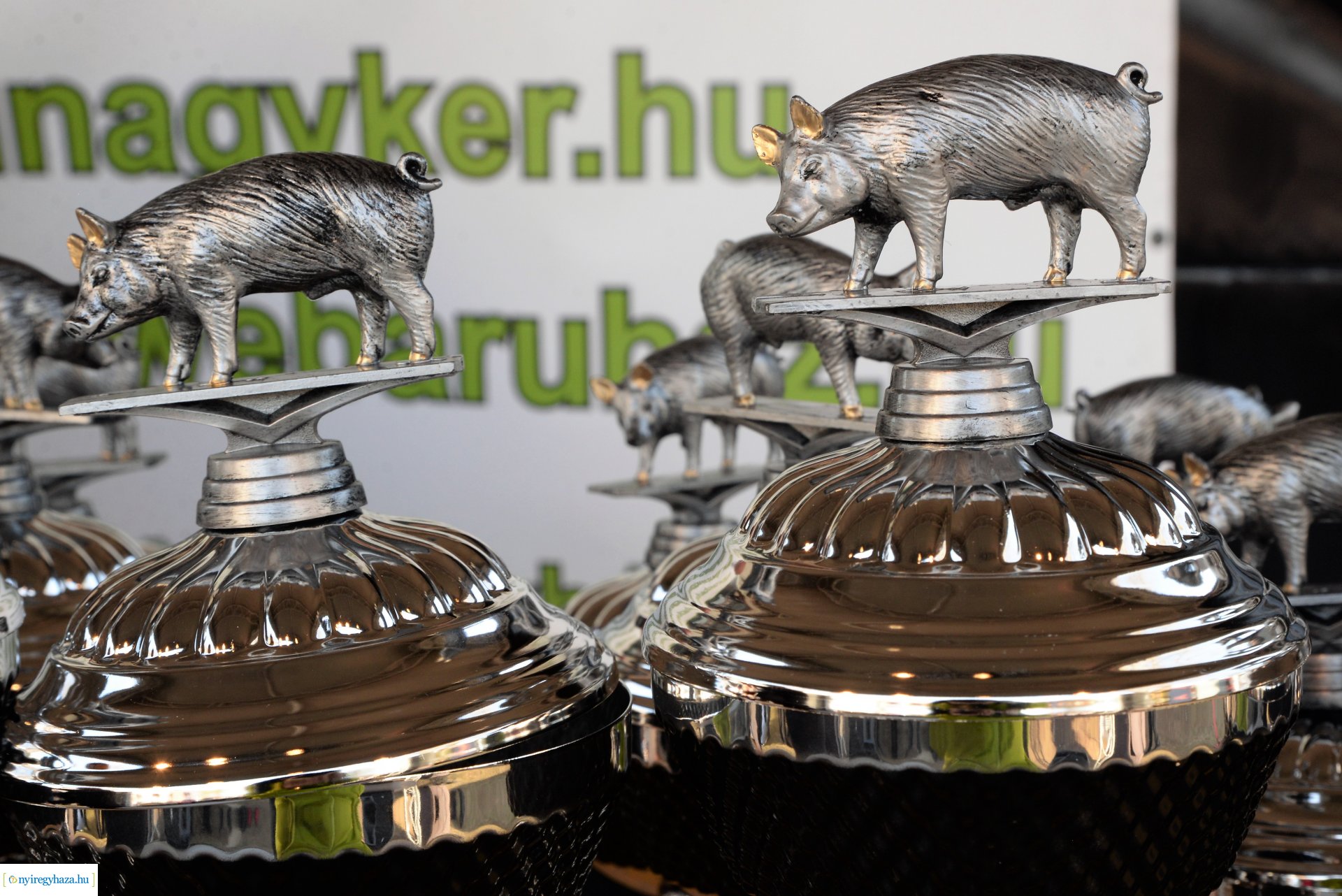 Disznótoros fesztivál eredményhirdetés