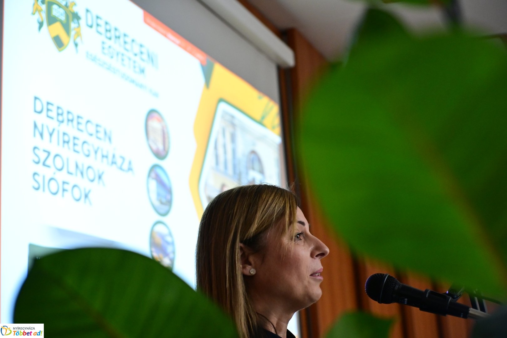 DOTE nyílt nap - 2025