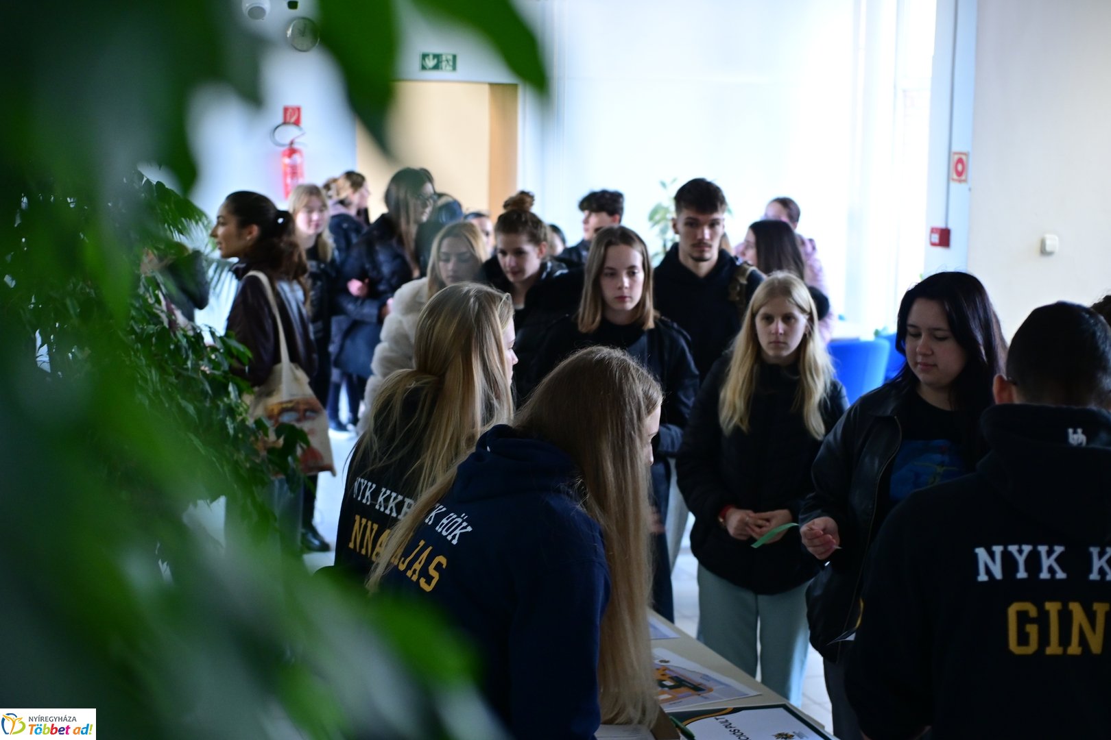 DOTE nyílt nap - 2025