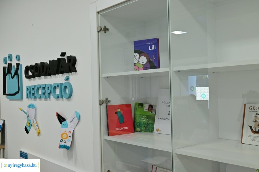 Down Világnap a Csodavárban 2024