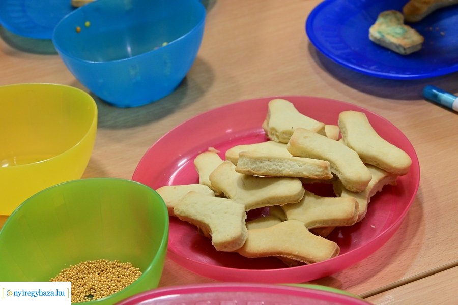 Down Világnap a Csodavárban 2024