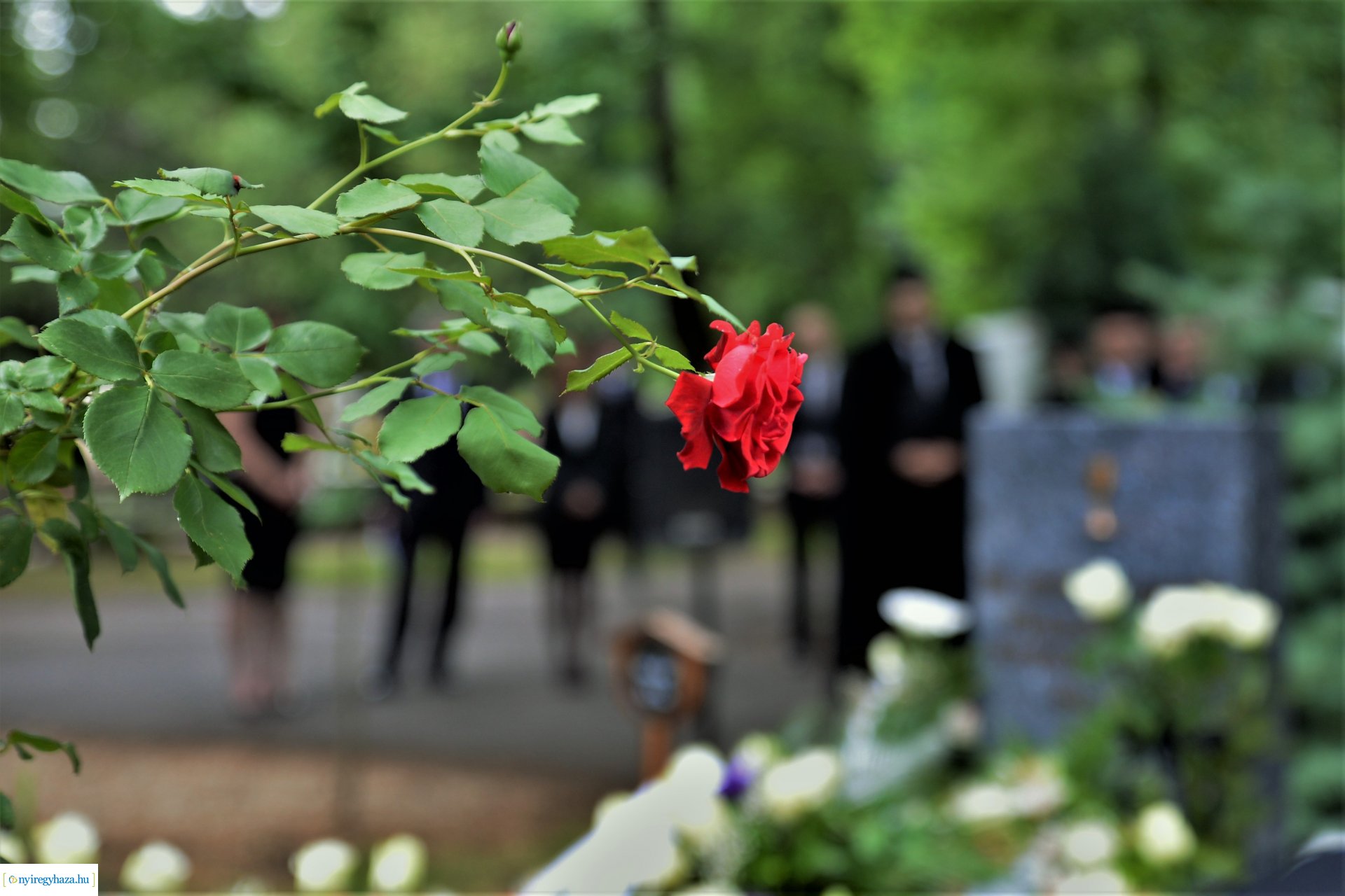 Dr. Adorján Gusztávra emlékeztek