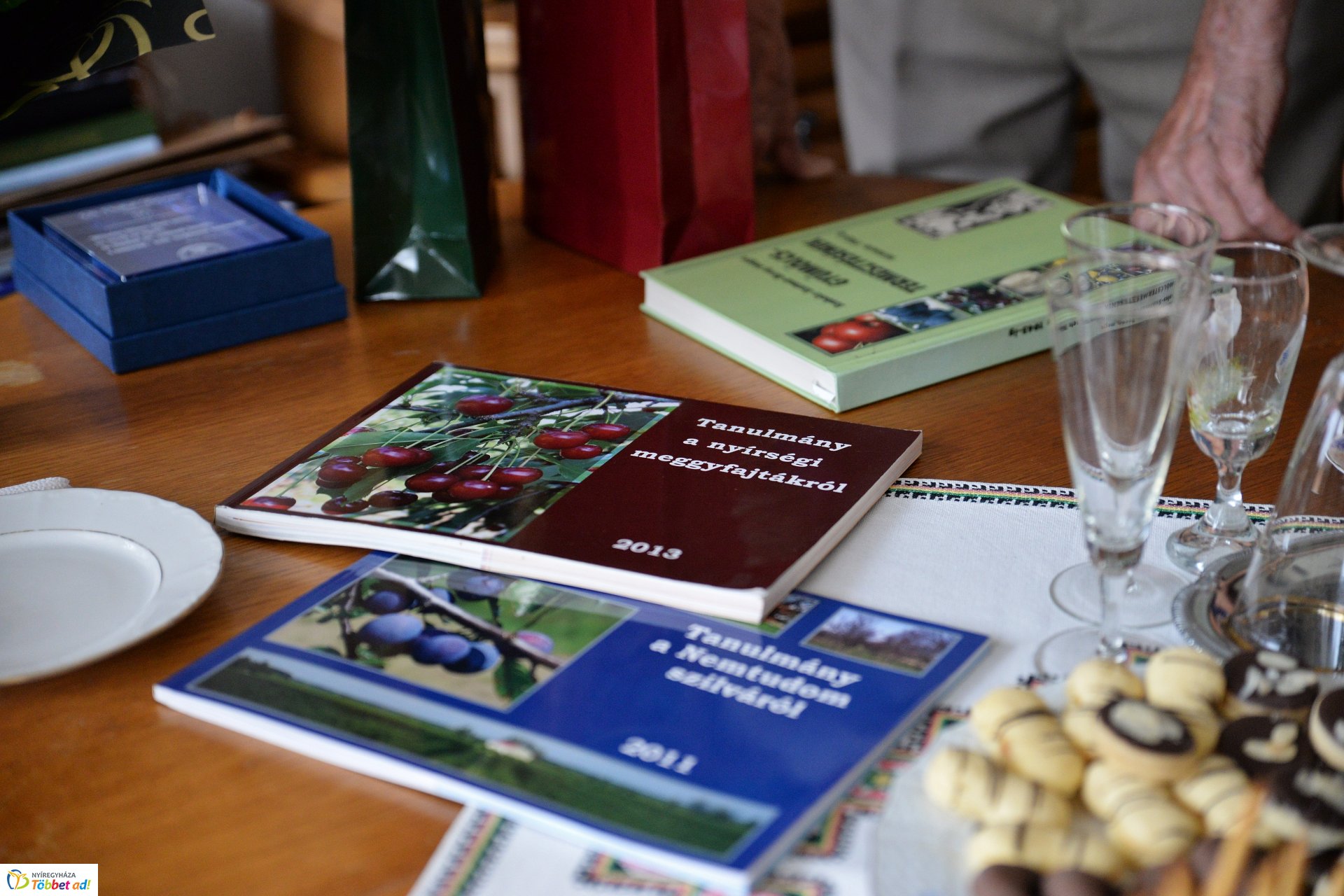 Dr. Pethő Ferenc születésnapi köszöntése