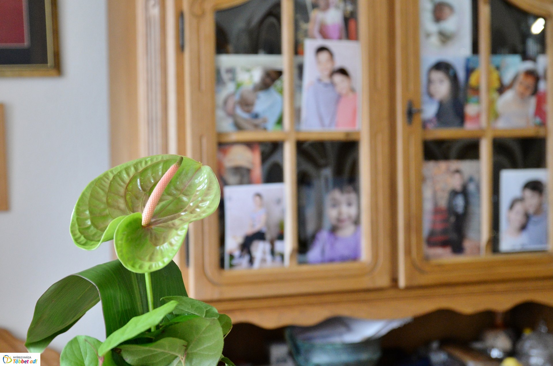 Dr. Pethő Ferenc születésnapi köszöntése