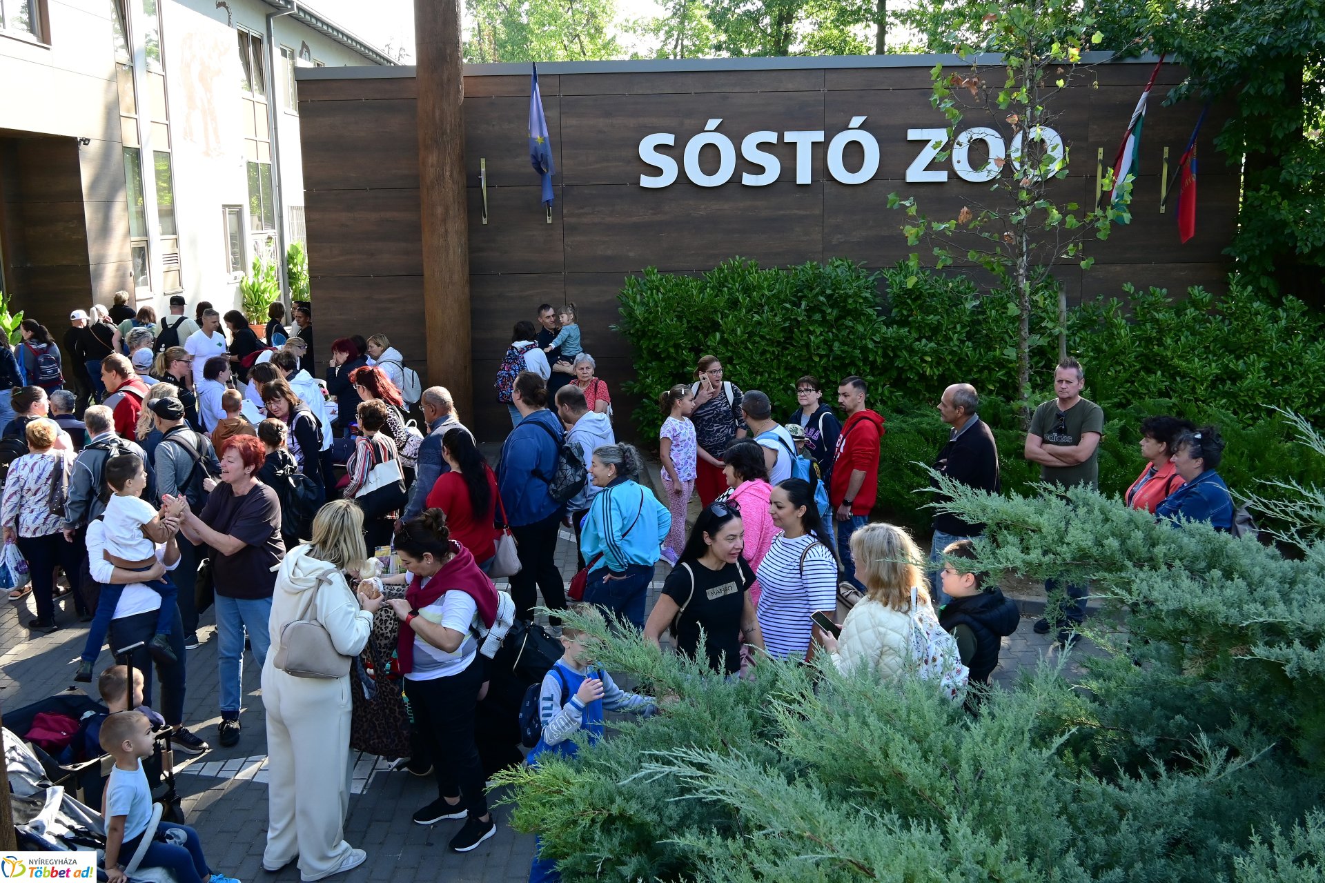 ÉFOÉSZ családi nap