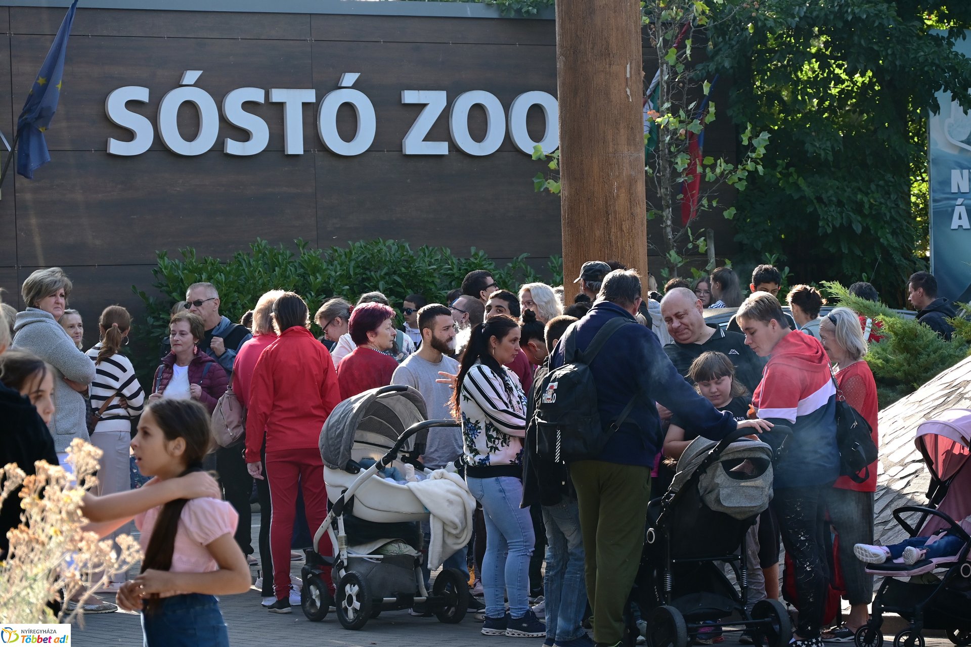 ÉFOÉSZ családi nap