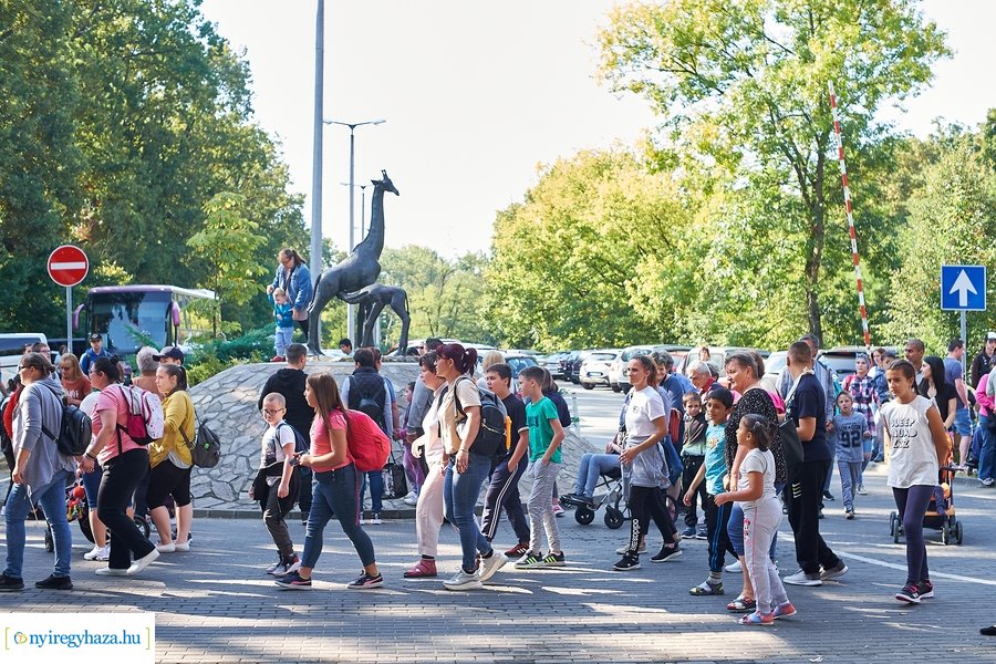 ÉFOÉSZ Nap az Állatparkban 2021