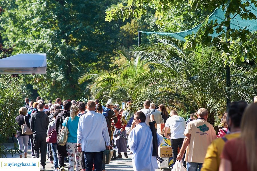 ÉFOÉSZ Nap az Állatparkban 2021