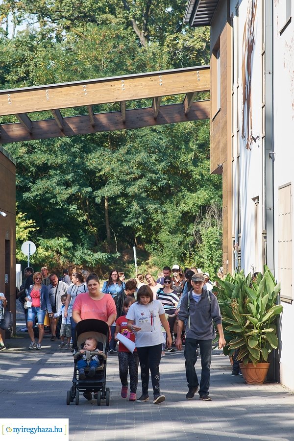 ÉFOÉSZ Nap az Állatparkban 2021