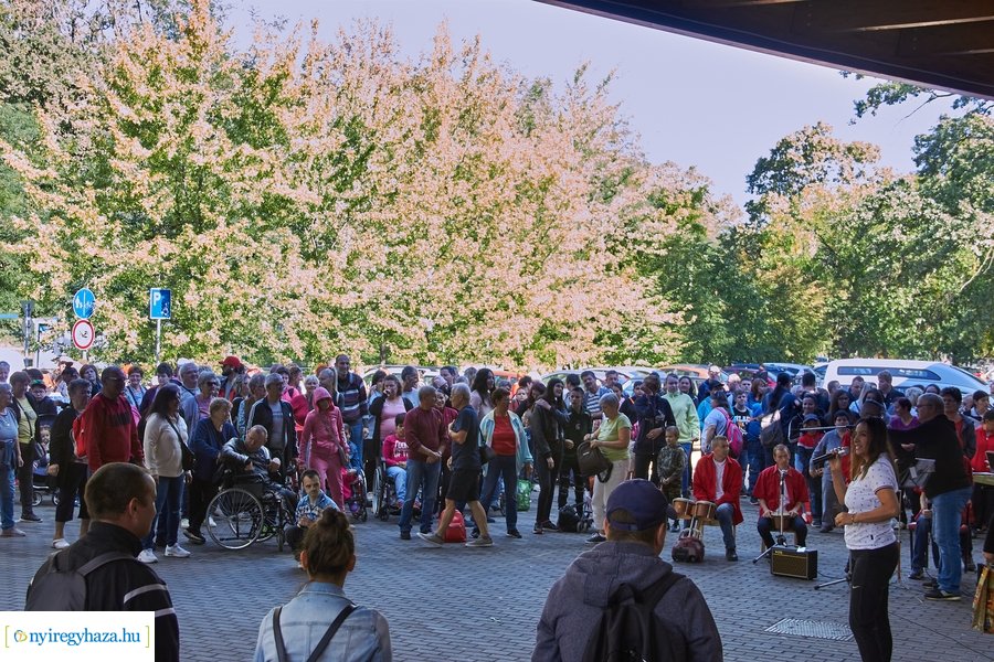 ÉFOÉSZ Nap az állatparkban 2022